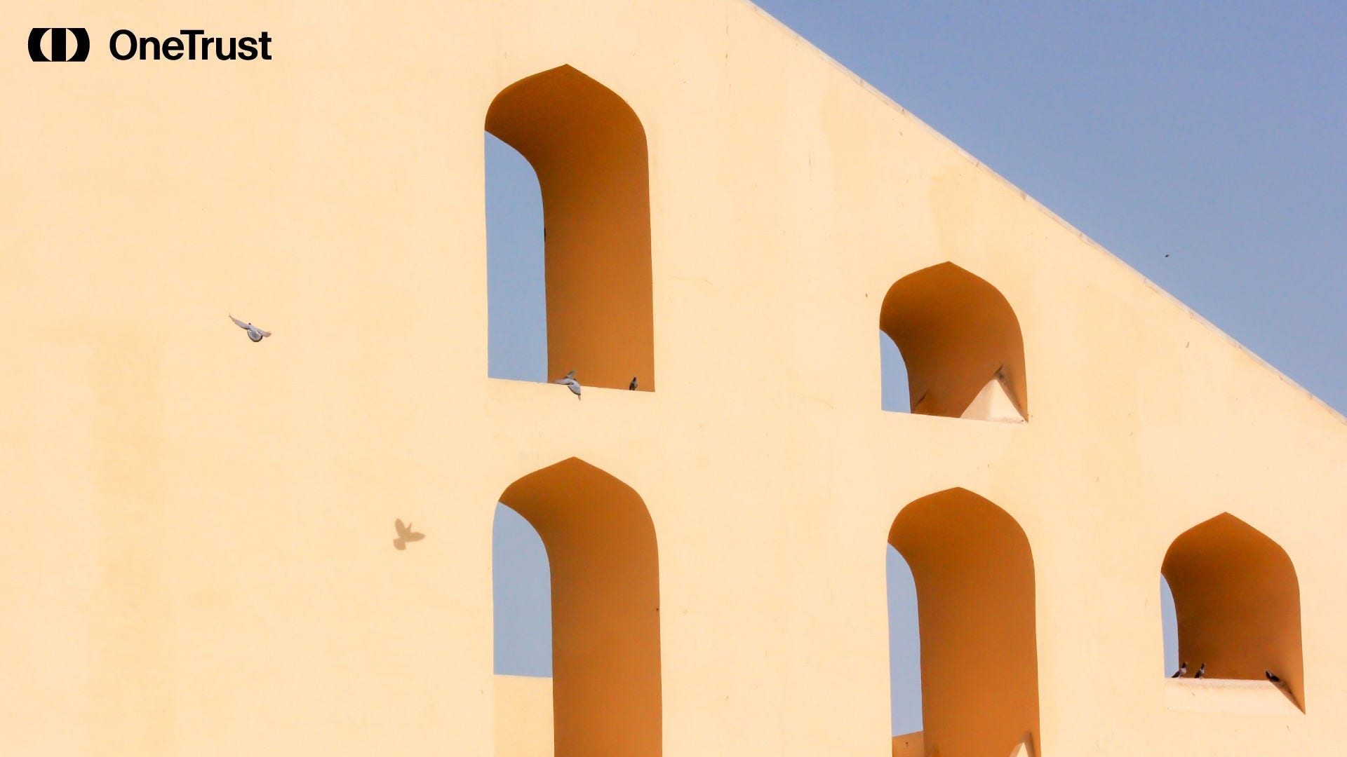Modern beige building façade with six arched window openings, soft sunlight casting shadows, and several birds perched on ledges while one bird flies nearby; OneTrust logo appears in the top left corner.